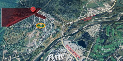 Fernie Mail Chimp - July 2025 cropped